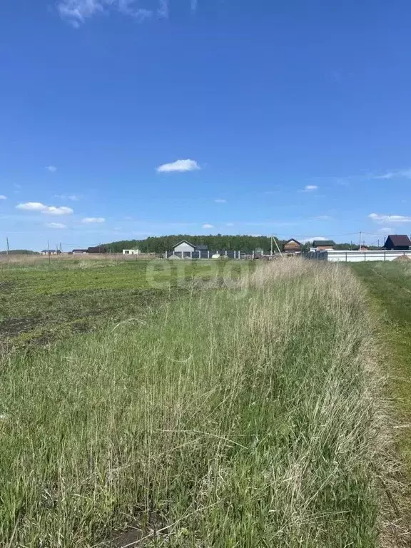 Участок в Красноярский край, Емельяновский район, с. Шуваево  (10.7 ... - Фото 0