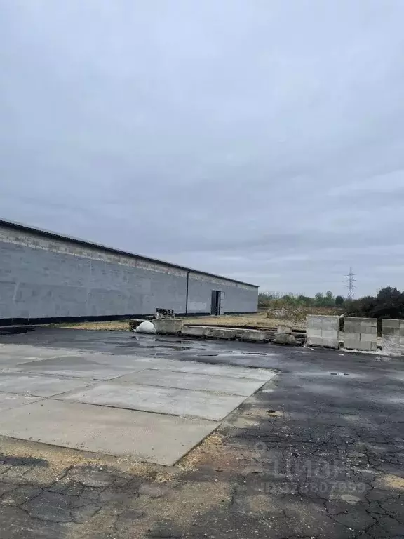 Склад в Московская область, Руза Социалистическая ул., 84 (1023 м) - Фото 1