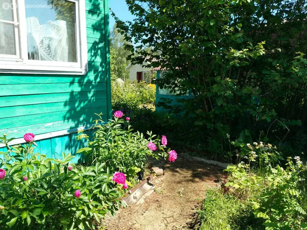 Дом в Ярославский муниципальный округ, СНТ Лесная Поляна, 160 (30 м) - Фото 2