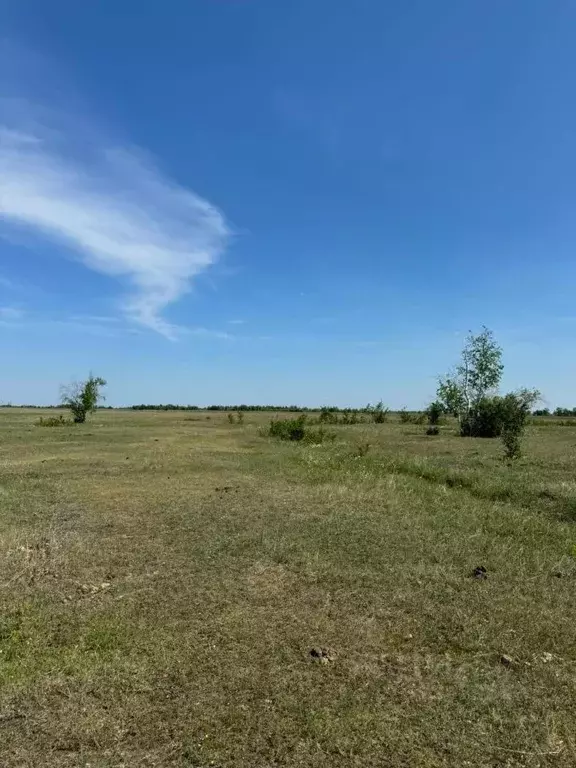 Участок в Саха (Якутия), Якутск городской округ, с. Тулагино  (60.0 ... - Фото 1