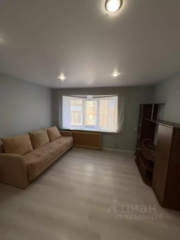 Студия Нижегородская область, Бор ул. Чугунова, 13 (15.9 м) - Фото 2