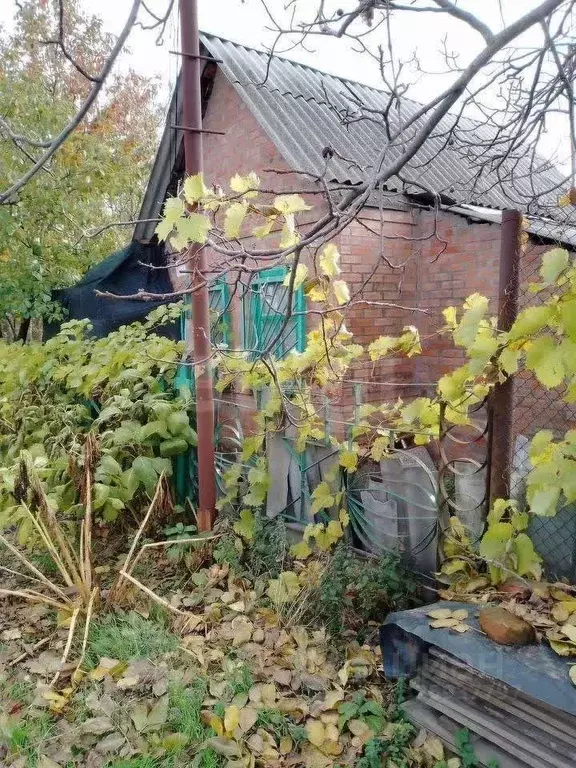 Дом в Ростовская область, Таганрог Котлостроитель садовое ... - Фото 1