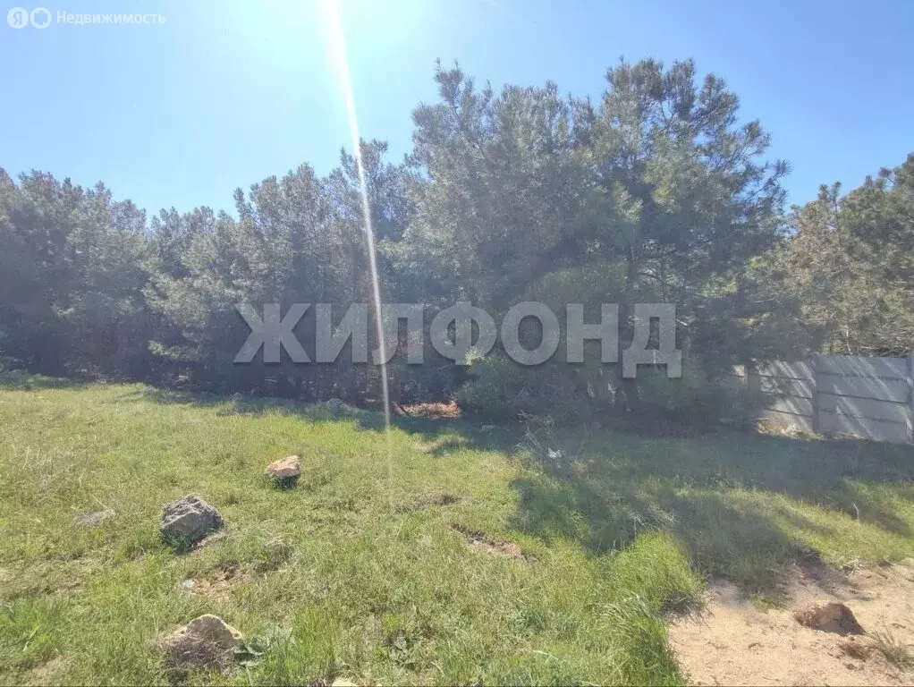 Участок в Севастополь, улица Петра Рогачева (9 м) - Фото 2