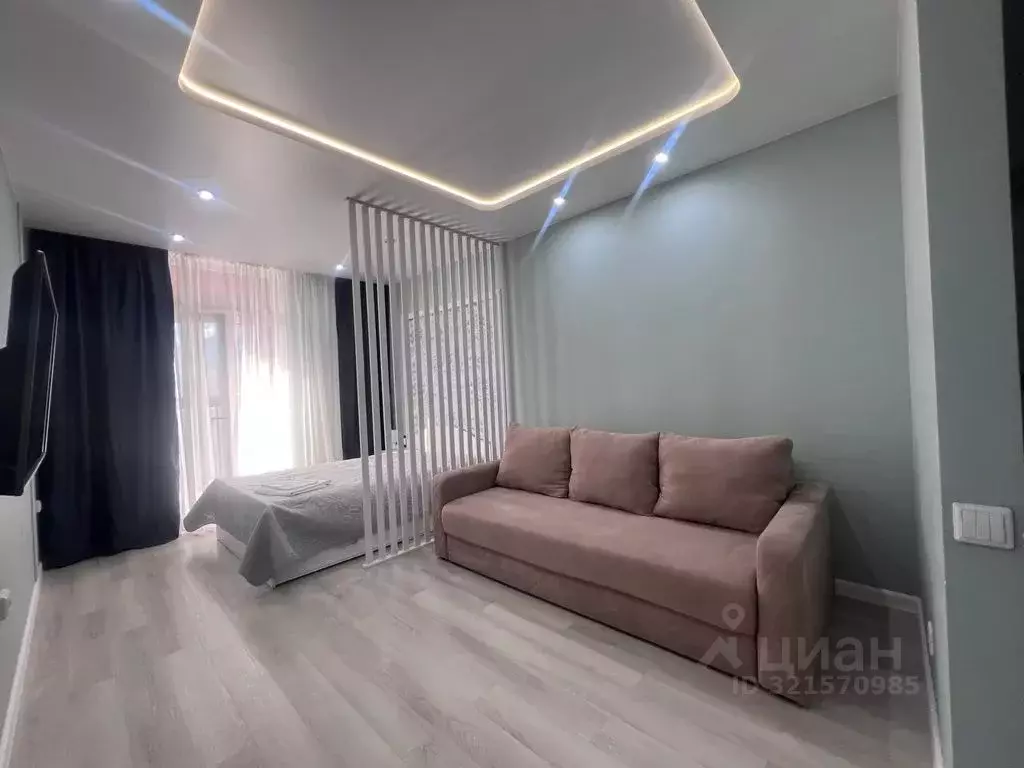 Студия Новосибирская область, Новосибирск ул. Кирова, 11 (37.0 м) - Фото 2