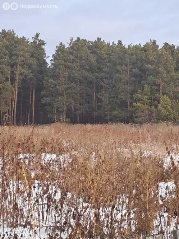 Участок в село Никольское, Октябрьская улица, 10 (17.2 м) - Фото 1