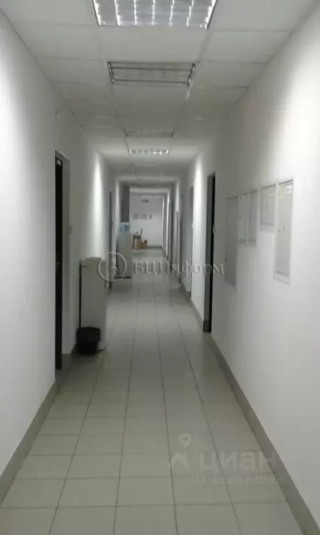 Офис в Санкт-Петербург ул. Ивана Черных, 31-33 (446 м) - Фото 1