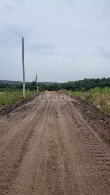 Участок в Амурская область, Благовещенский район, с. Чигири ул. Мира ... - Фото 1