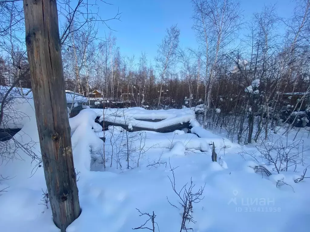 Участок в Саха (Якутия), Якутск городской округ, с. Маган  (6.0 сот.) - Фото 1
