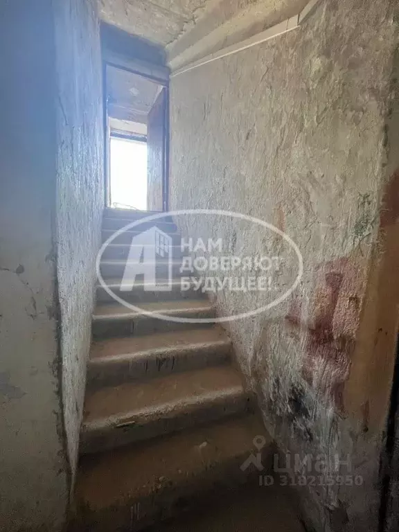 Помещение свободного назначения в Пермский край, Лысьва ул. Кутузова, ... - Фото 1