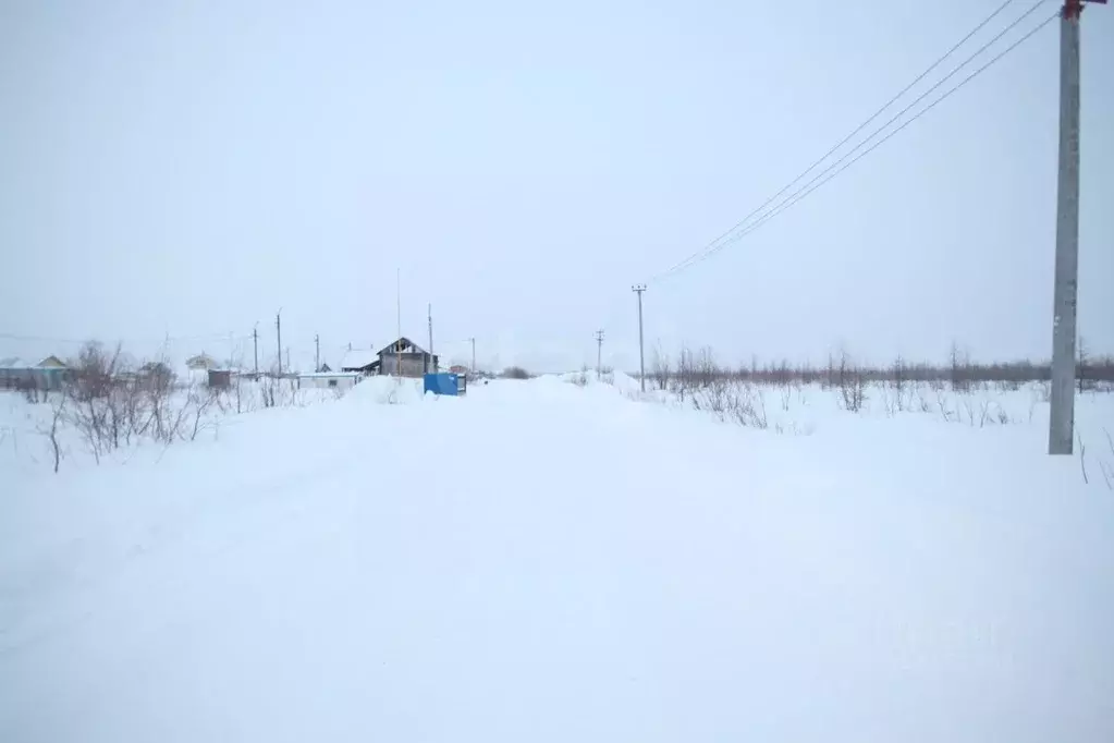 Участок в Ямало-Ненецкий АО, Новый Уренгой Уралец мкр, МК-144 кв-л,  ... - Фото 0