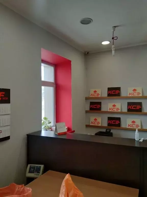 Помещение свободного назначения в Новосибирская область, Бердск ... - Фото 2