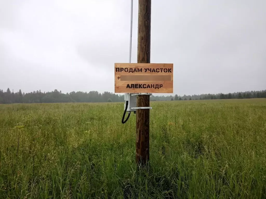 Участок в Пермский край, д. Заозерье (Усть-Качкинское сельское ... - Фото 0