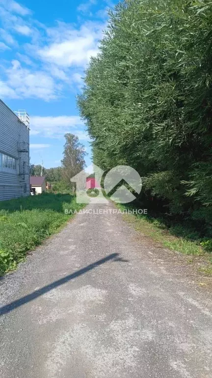 Участок в Новосибирская область, Новосибирский район, Мичуринский ... - Фото 1