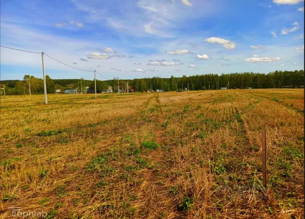 Участок в Башкортостан, Иглинский район, Калтымановский сельсовет, с. ... - Фото 2