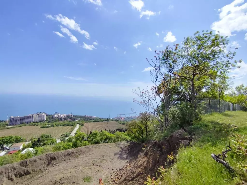 Участок в Крым, Ялта муниципальный округ, Восход пгт ш. ... - Фото 2