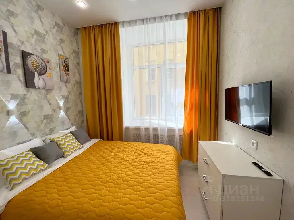 Студия Санкт-Петербург Коломенская ул., 5 (24.0 м) - Фото 0