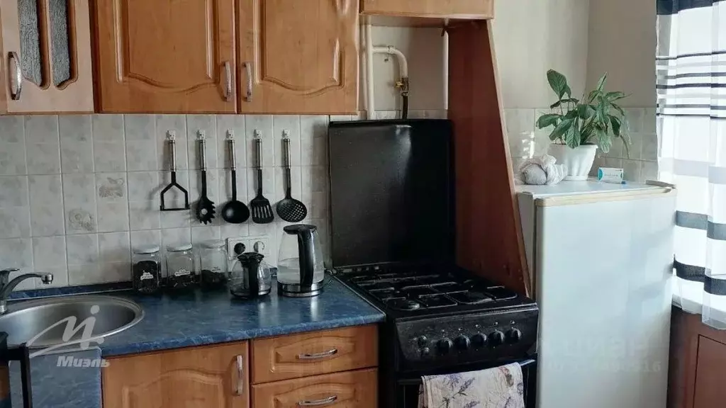 1-к кв. Алтайский край, Барнаул Интернациональная ул., 48 (30.5 м) - Фото 1