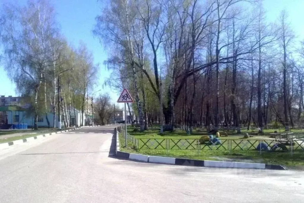 1-к кв. Московская область, Орехово-Зуевский городской округ, д. Новое ... - Фото 2