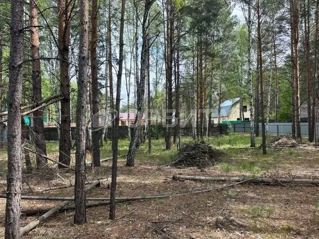 Участок в Тюменская область, Тюменский муниципальный округ, Архитектор ... - Фото 2