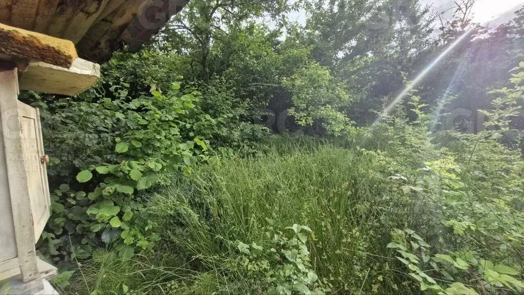 Участок в Краснодарский край, Сочи городской округ, с. Верхний Юрт ул. ... - Фото 1