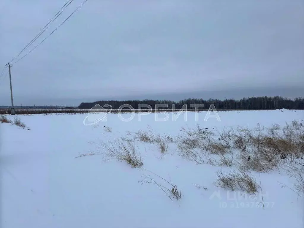 Участок в Тюменская область, Тюменский район, с. Горьковка Сибирская ... - Фото 0
