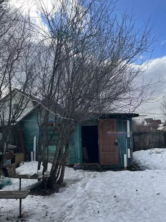 Дом в Алтайский край, Барнаул (35 м) - Фото 0