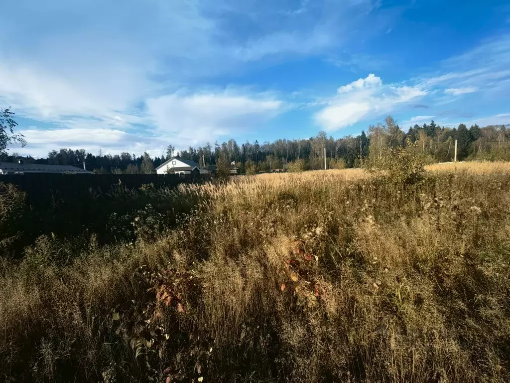 Участок в Московская область, Чехов муниципальный округ, д. Мальцы, ... - Фото 1