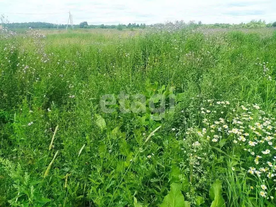 Участок в Костромская область, Кострома Первый кп,  (7.3 сот.) - Фото 1