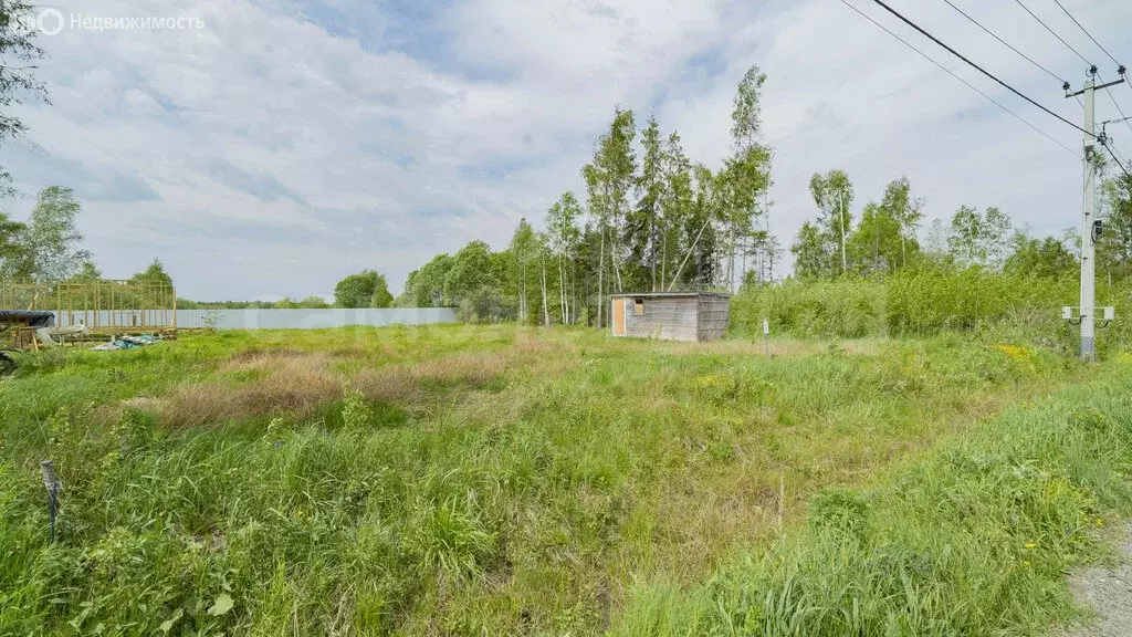 Участок в Наро-Фоминский городской округ, деревня Чешково (9.1 м) - Фото 2