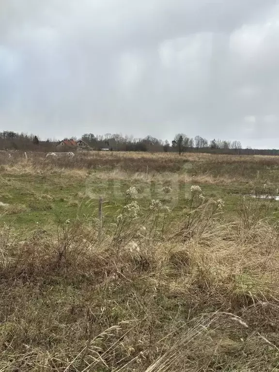 Участок в Калининградская область, Гвардейский муниципальный округ, ... - Фото 2