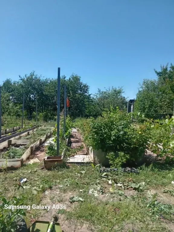 Участок в Саратовская область, Энгельсский район, Красноярское ... - Фото 0