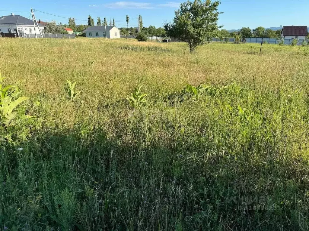 Участок в Краснодарский край, Новороссийск городской округ, ... - Фото 1