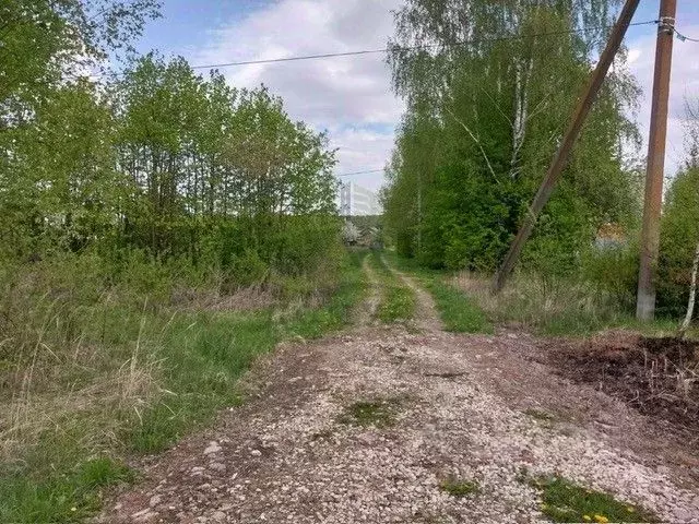 Участок в Московская область, Коломна городской округ, д. Андреевка  ... - Фото 0