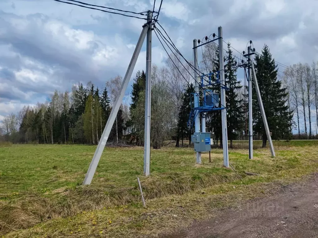 Участок в Московская область, Шаховская городской округ, д. Дор  (6.0 ... - Фото 0