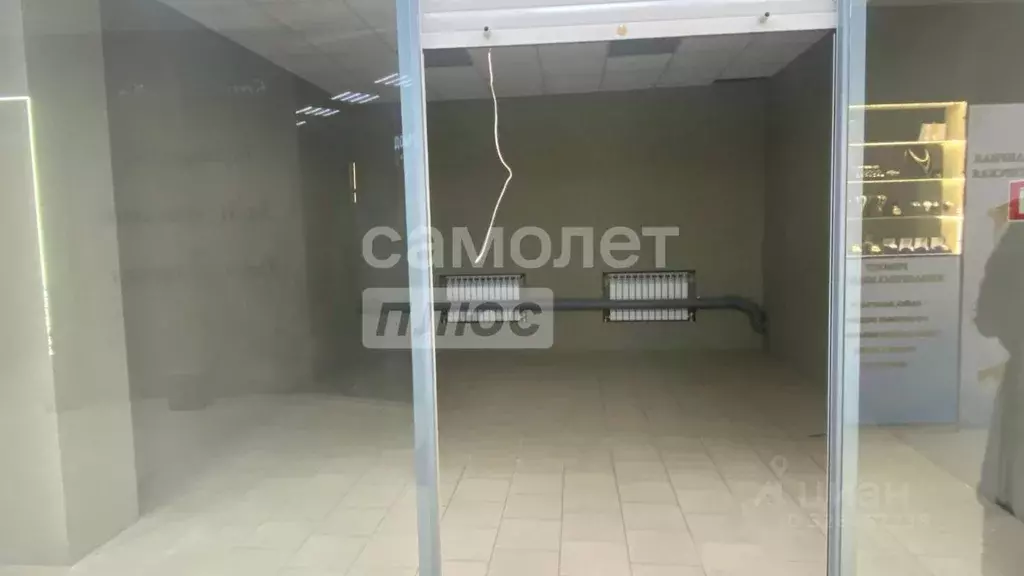 Торговая площадь в Липецкая область, Липецк ул. П.А. Папина, с1Гк3 (25 ... - Фото 1