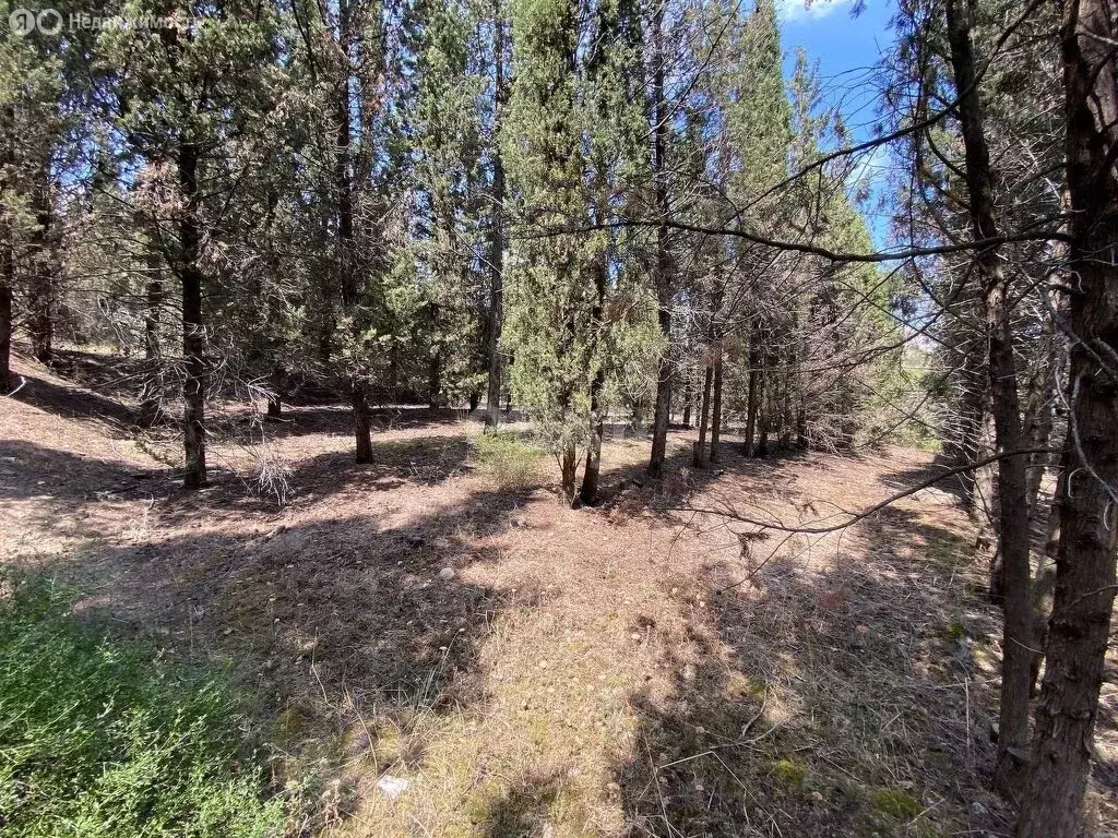 Участок в Республика Крым, муниципальный округ Алушта, посёлок ... - Фото 1