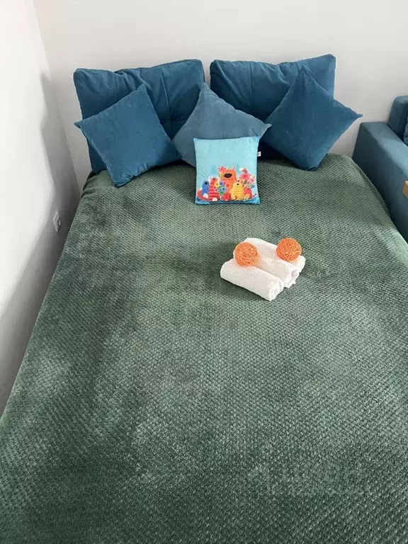 1-к кв. Калининградская область, Светлогорск Олимпийский бул., 4 (47.0 ... - Фото 1