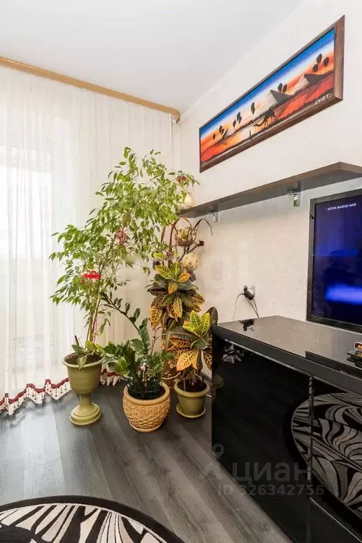 Студия Амурская область, Благовещенск Зейская ул., 323 (26.0 м) - Фото 1