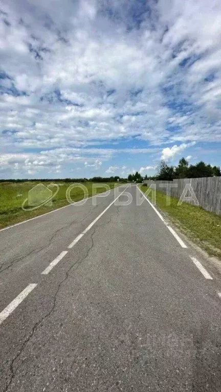 Участок в Тюменская область, Тюменский муниципальный округ, Лоза СНТ  ... - Фото 2