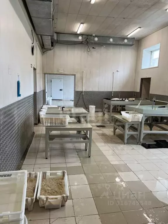 Склад в Ярославская область, Любим Костромская ул., 52 (6446 м) - Фото 1