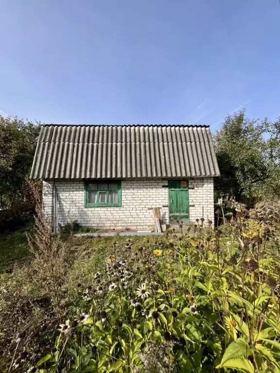 Дом в Нижегородская область, Нижний Новгород с. Шелокша,  (45 м) - Фото 1