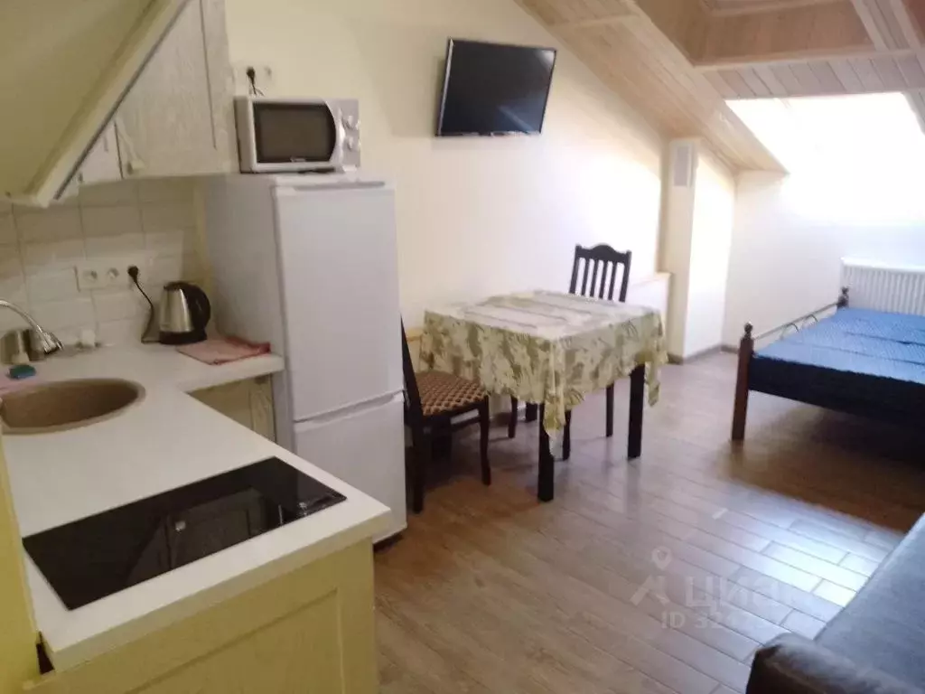 Студия Краснодарский край, Геленджик ул. Мира, 44лит5 (25.0 м) - Фото 1