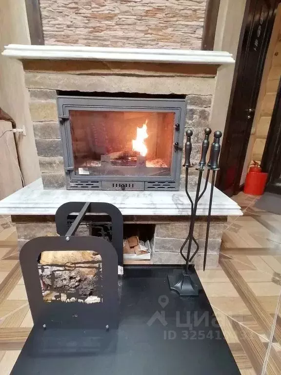 Дом в Алтайский край, Алтайский район, пос. Даниловка  (45 м) - Фото 2