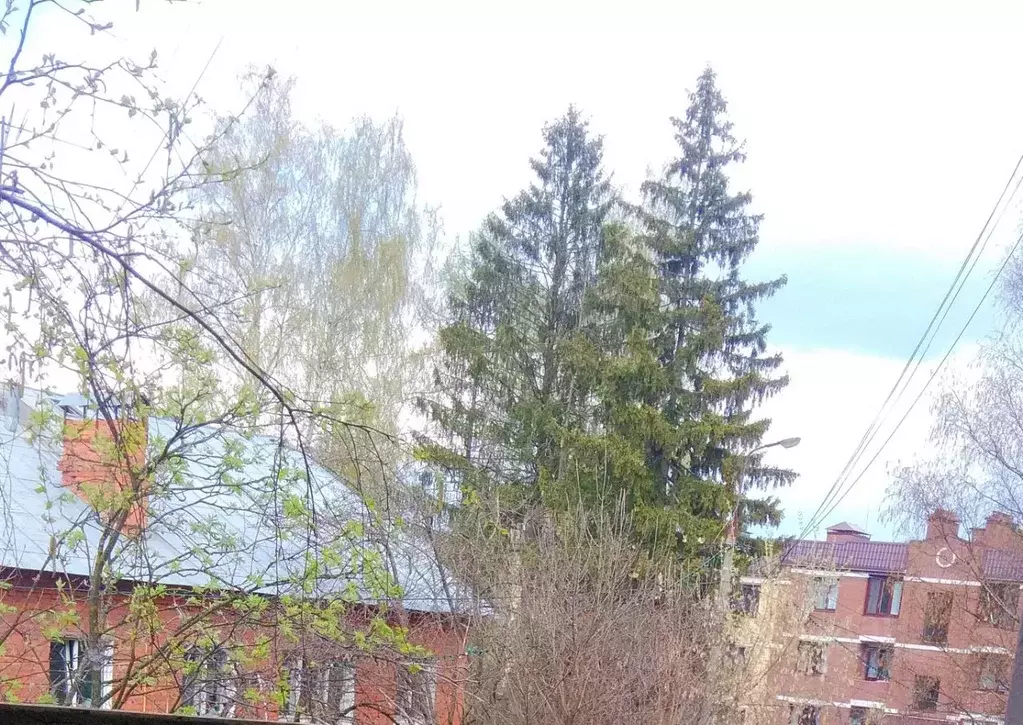 1-к кв. Московская область, Химки Фирсановка мкр, Речная ул., 12А ... - Фото 1