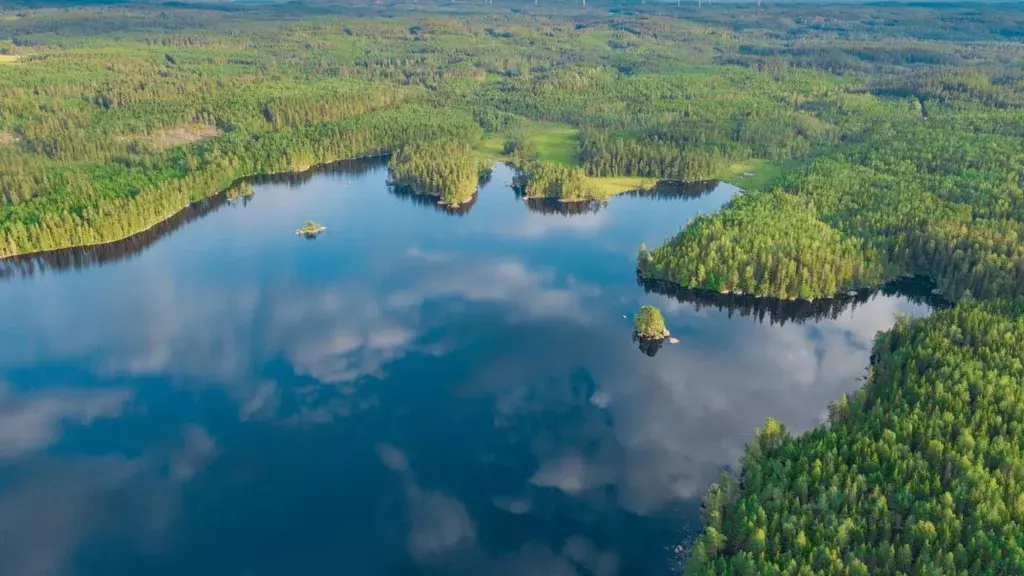 Участок в Ленинградская область, Всеволожский район, Колтушское ... - Фото 0