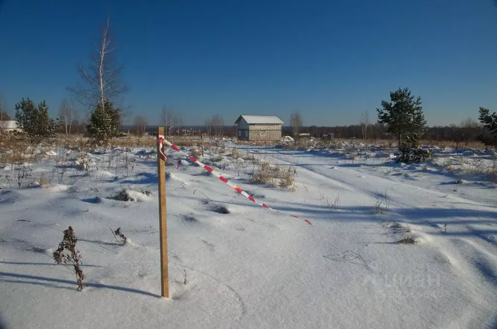 Участок в Пензенская область, с. Бессоновка ул. Российская (15.0 сот.) - Фото 1