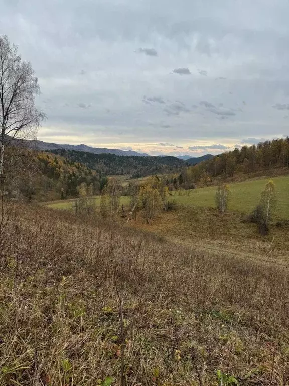 Участок в Алтай, Чемальский район, с. Бешпельтир  (270.0 сот.) - Фото 0