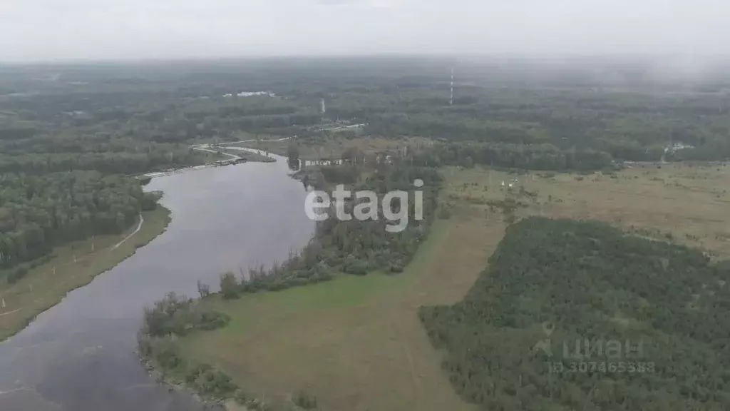 Участок в Новосибирская область, Новосибирский район, Кубовинский ... - Фото 0