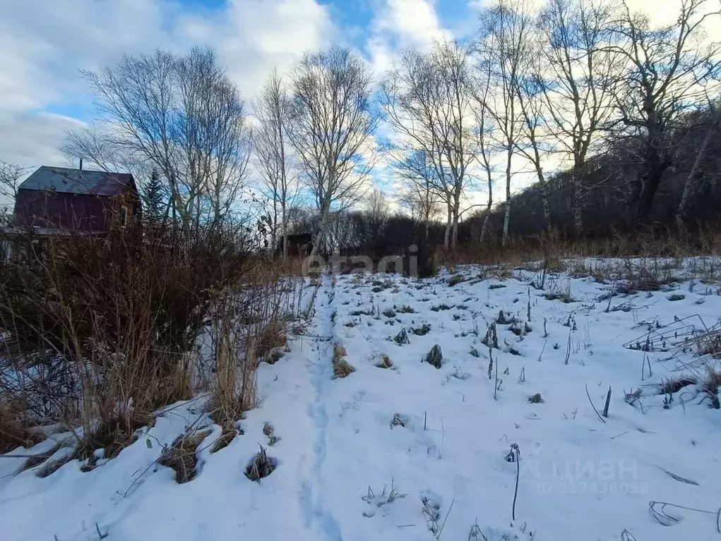 Участок в Камчатский край, Елизово Дружба Предприятия Гортеплосеть и ... - Фото 0