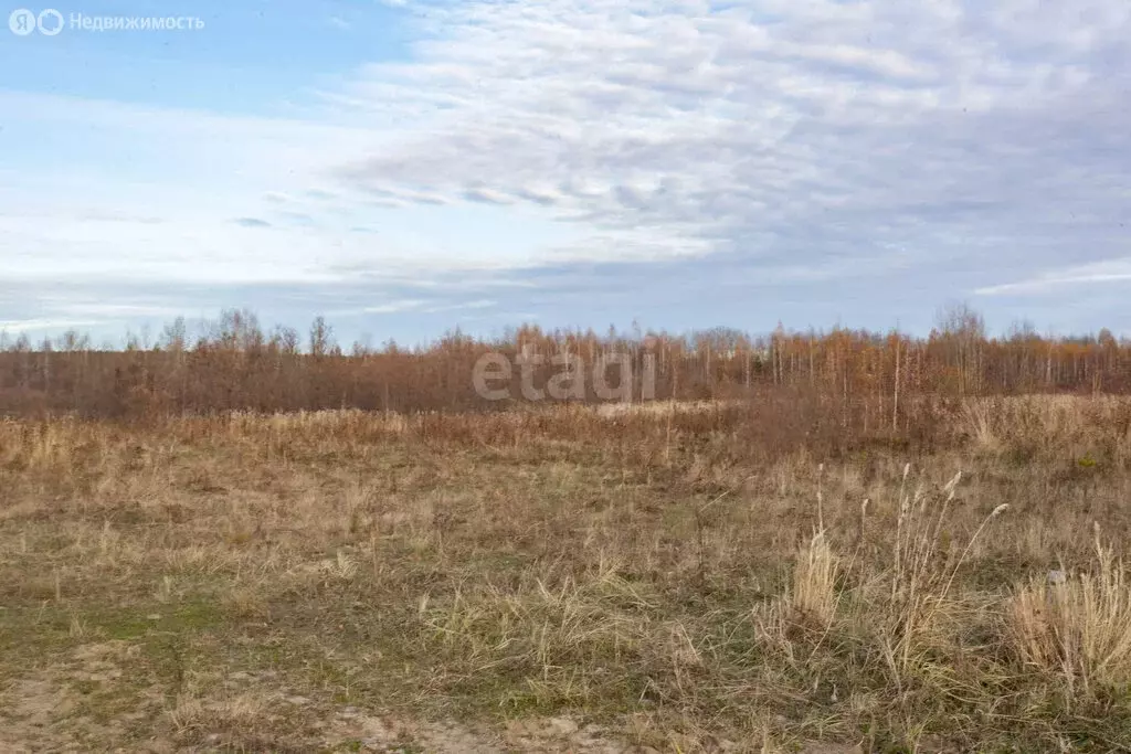 Участок в Башковское сельское поселение, деревня Ломаева (8.3 м) - Фото 0